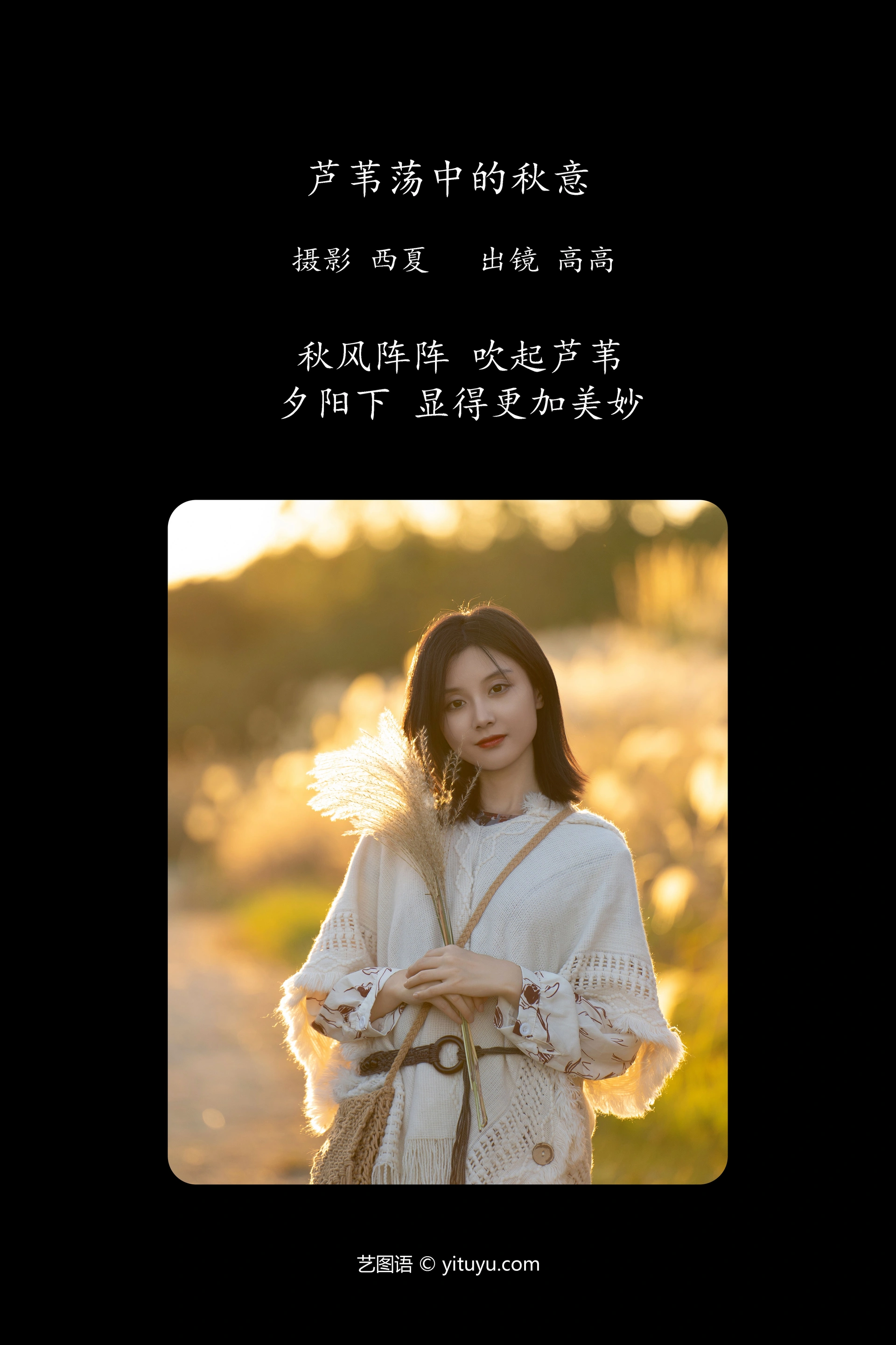[YITUYU艺图语]2023.12.30 芦苇荡中的秋意 高高 1